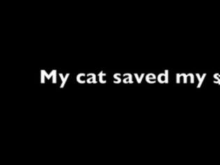 Φωτογραφία για Απίστευτη γάτα-κομάντο σώζει αγοράκι [video]