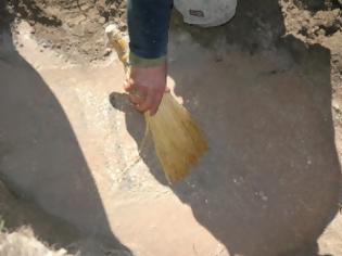 Φωτογραφία για Η ανασκαφή μιας τιτανοχελώνας στο Θερμαϊκό