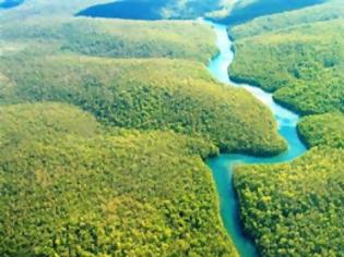 Φωτογραφία για Τα μισά είδη δέντρων του Αμαζονίου απειλούνται με εξαφάνιση