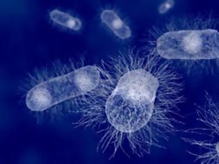 Φωτογραφία για Ταχύτατη εξέλιξη βακτηρίου τρομάζει τους επιστήμονες