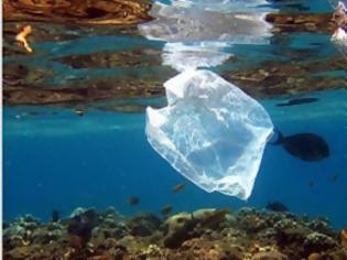 Φωτογραφία για Τα βιοδιασπώμενα πλαστικά σπάνια διαλύονται στον ωκεανό