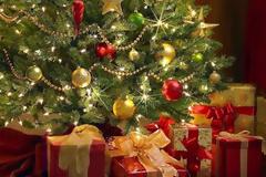 Ψεύτικο ή αληθινό χριστουγεννιάτικο δέντρο; Οι ειδικοί απαντούν!