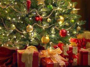 Φωτογραφία για Ψεύτικο ή αληθινό χριστουγεννιάτικο δέντρο; Οι ειδικοί απαντούν!