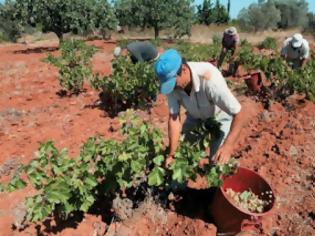 Φωτογραφία για ΣΦΑΓΗ στις επιδοτήσεις των αγροτών