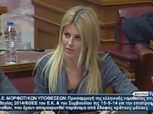 Φωτογραφία για Η Έλενα Ράπτη αναφέρθηκε στο νομοσχέδιο για την Ελλάδα στη συνεδρίαση της Διαρκούς Επιτροπής Μορφωτικών Υποθέσεων