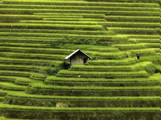Φωτογραφία για Εντυπωσιακές και διαφορετικές φωτογραφίες από το Βιετνάμ