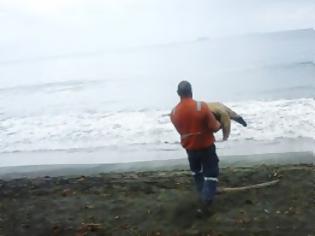 Φωτογραφία για ΜΠΡΑΒΟ! Αυτός ο άντρας, αγοράζει χελώνες και τις αφήνει στον ωκεανό [photos]