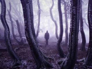 Φωτογραφία για Τα πιο μυστήρια δάση όλων των εποχών [photos]