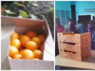Φωτογραφία για Πανζουρλισμός στην Ξάνθη για δωρεάν φρούτα σε τρίτεκνους και πολύτεκνους