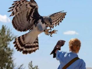 Φωτογραφία για Αυτό το πουλί είναι...το μεγαλύτερο του κόσμου - Θα σας εκπλήξουν οι φωτογραφίες [photos]