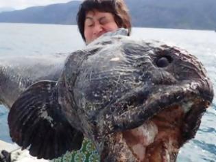 Φωτογραφία για ΤΡΟΜΑΚΤΙΚΟ! Ψαριά από την… κόλαση! Δείτε τι έβγαλε αυτός ο Ιάπωνας ψαράς [photo]