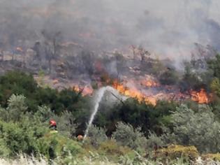 Φωτογραφία για Πυρκαγιά στην ορεινή Ξάνθη – Μάχη με τις φλόγες έδωσαν οι Πυροσβέστες