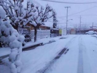 Φωτογραφία για Οι σφοδρότερες χιονοπτώσεις των τελευταίων 50 ετών πλήττουν το Μεξικό