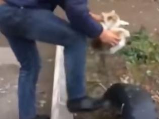 Φωτογραφία για Σάλος από το βίντεο με τον άνδρα που γυαλίζει τα παπούτσια του με μια... γάτα