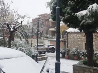 Φωτογραφία για Έντυσαν στα λευκά τα πρώτα χιόνια την Κρήτη !