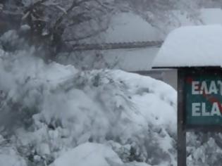 Φωτογραφία για Τρίκαλα: Είδαν άσπρη μέρα παραμονή πρωτοχρονιάς-χιόνια σε όλο το νομό-γέμισε το χιονοδρομικό [photos+video]