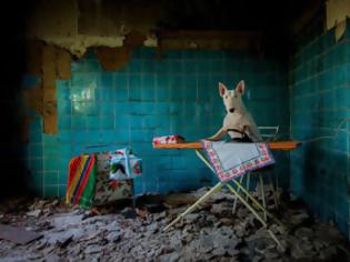 Φωτογραφία για Θα πάθετε πλάκα! Δείτε πώς ποζάρει αυτή η σκυλίτσα μέσα σε εγκαταλειμμένα μέρη... [photos]