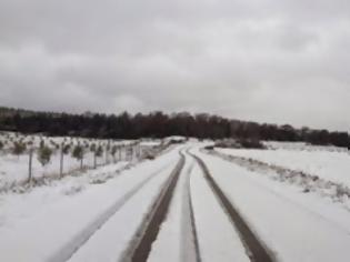 Φωτογραφία για Προβλήματα από τον παγετό σε Ξάνθη και Ροδόπη