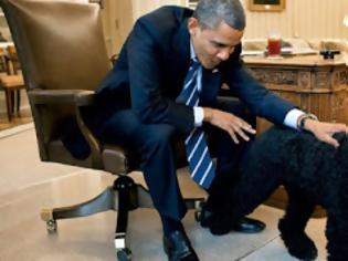 Φωτογραφία για Απίστευτο: Ψυχοπαθής σχεδίαζε να απαγάγει τα σκυλιά του Ομπάμα