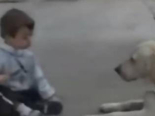 Φωτογραφία για ΣΥΓΚΙΝΗΤΙΚΟ: Η αντίδραση σκύλου όταν συνάντησε παιδάκι με σύνδρομο down [video]