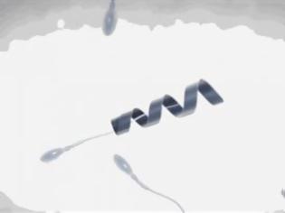 Φωτογραφία για Μηχανοκίνητα σπερματοζωάρια – ρομπότ για αντιμετώπιση προβλημάτων γονιμότητας