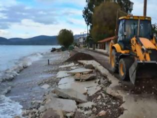 Φωτογραφία για Μεγάλες ζημιές από τους ισχυρούς ανέμους στην Αργολίδα [photos]