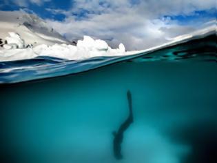 Φωτογραφία για «Παγωμένη» βουτιά στην Ανταρκτική