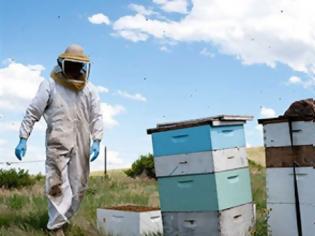 Φωτογραφία για Κλοπές μελισσιών στην Εύβοια