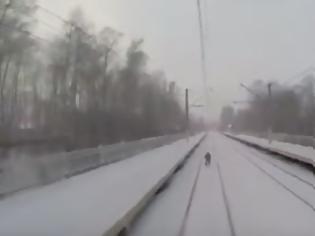 Φωτογραφία για Επικό Ρώσος σκιέρ δέθηκε πίσω από τρένο για να κάνει σκι ανάμεσα στις ράγες [video]
