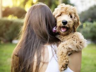 Φωτογραφία για 14 τρόποι να γίνει το σκυλί σου χαρούμενο