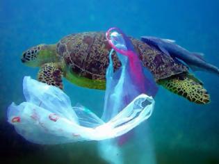 Φωτογραφία για Το 2050 οι ωκεανοί θα έχουν περισσότερα πλαστικά παρά ψάρια