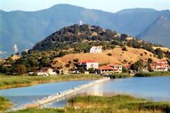 Είδος προς εξαφάνιση η άγρια πέστροφα