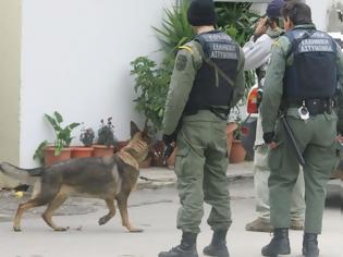 Φωτογραφία για Bρήκαν τρία κιλά χασίς... στο δρόμο!