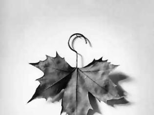 Φωτογραφία για Γιάννης Δραγασάκης: Διαπραγμάτευση, όχι μονομερείς ενέργειες