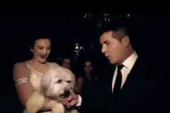 VIDEO: Ο σκύλος – χορευτής κέρδισε στο Βρετανία έχεις ταλέντο 500.000 λίρες!