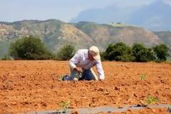 Αγρότες χωρίς επιδοτήσεις