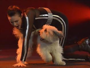 Φωτογραφία για Ο εκπληκτικός σκύλος που κέρδισε το Britain’s Got Talent [Video]