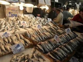 Φωτογραφία για Ακατάλληλα ψάρια στην ιχθυόσκαλα Μηχανιώνας