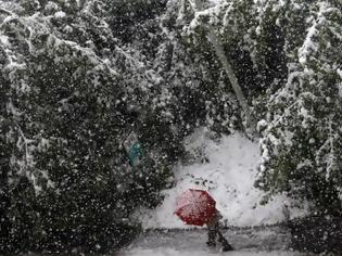 Φωτογραφία για Βουλιάζει στο χιόνι το Σαράγεβο...