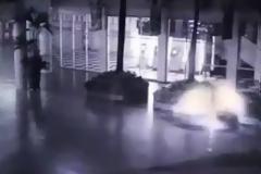 Πλάσμα με φτερά εμφανίστηκε σε δρόμο της Ινδονησίας