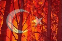 ούρκοι… φύλακες στα ελληνικά δάση!