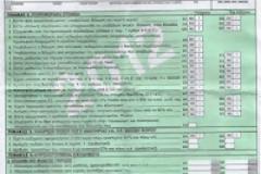 ΣΟΚ για όσους έχουν κάνει την φετινή φορολογική δήλωση!