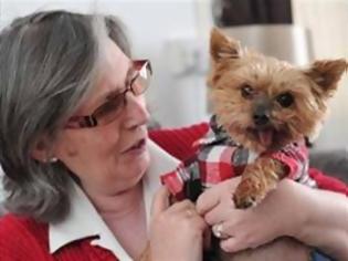 Φωτογραφία για Terrier πάτησε τον συναγερμό και έσωσε το αφεντικό του!