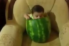 Μωρό έχει μπει μέσα σε καρπούζι και το τρώει... [Video]
