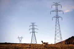 Η νέα μόδα μετά το χαράτσι είναι οι ρευματοκλοπές
