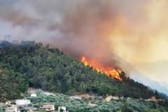 Αντιμετώπιση Δασικών Πυρκαγιών 2012