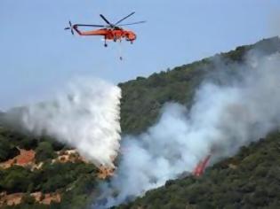 Φωτογραφία για Η δασοπυρόσβεση ανατέθηκε σε τούρκικα και ρώσικα αεροπλάνα