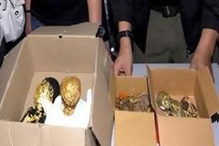 ΣΟΚ: Μακάβριο εμπόρευμα για μαύρη μαγεία