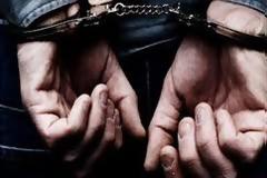 Πέρασαν διευθυντή μουσείου για κλέφτη και τον συνέλαβαν