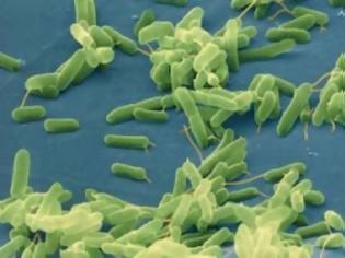 Φωτογραφία για Αιωνόβια μικρόβια ξεπερνούν τα όρια ζωής και θανάτου